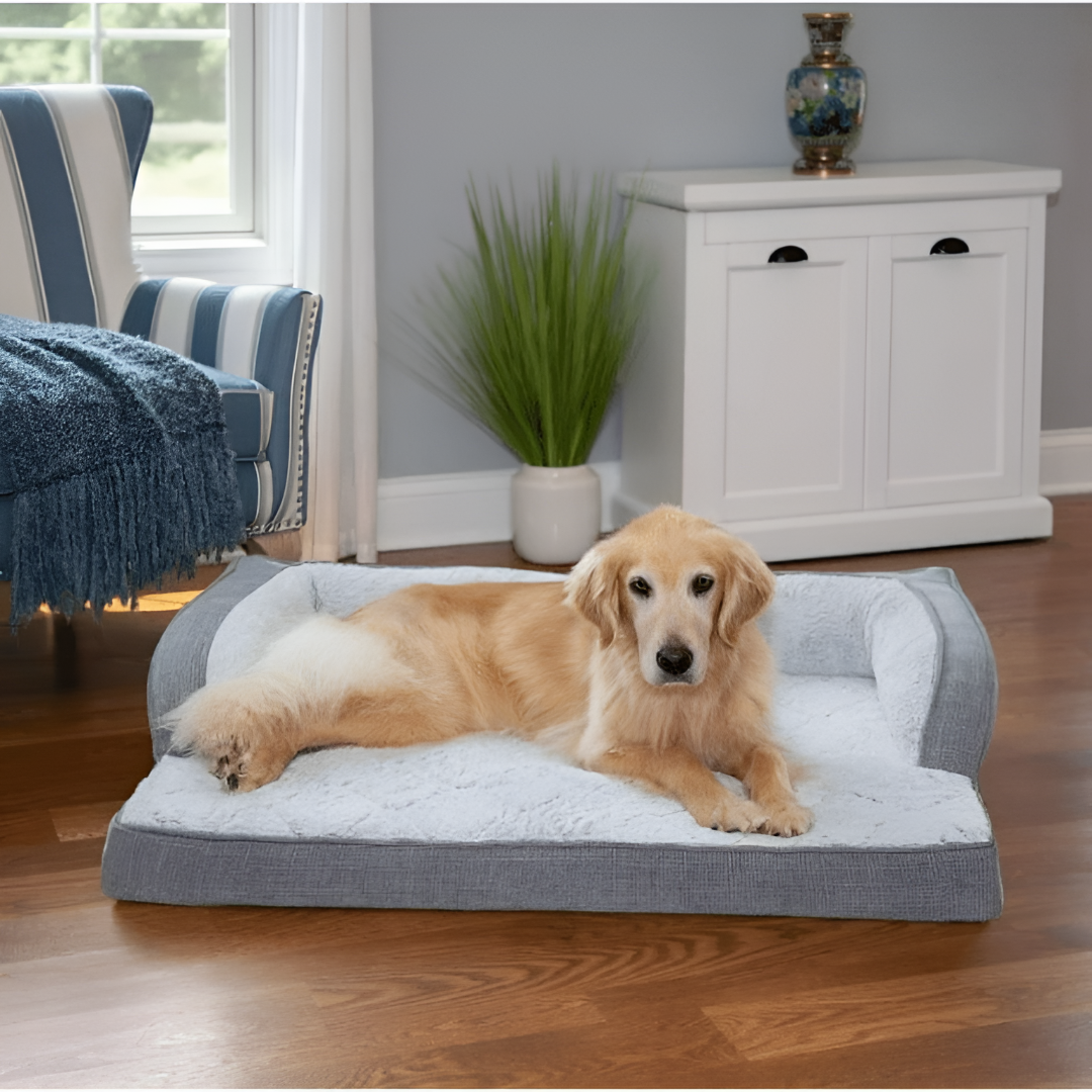 Choosing the Perfect Bed for Your Pet