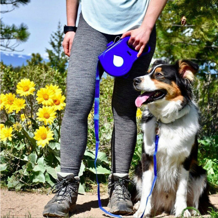 Automatic Retractable Leash Portable Dog Leash