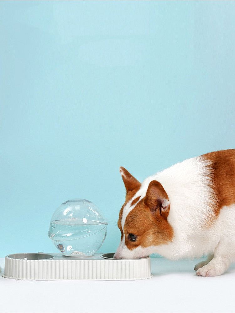 Pet Feeding Drinkers Cat Automatic Feeder