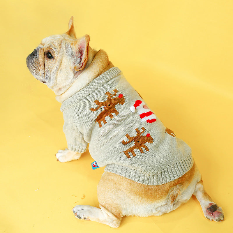 Pet sweater