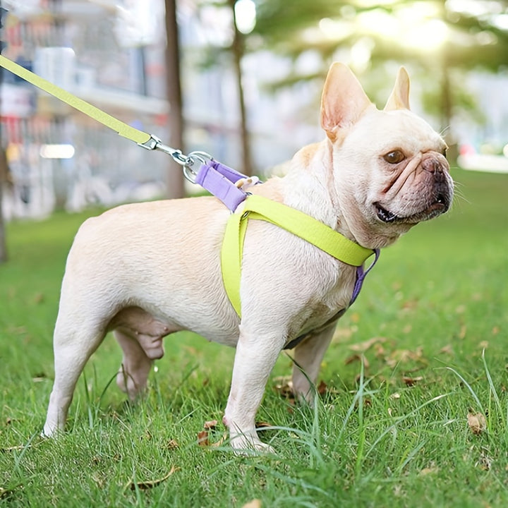 Pet Harness Set Anti-Escape Vest Leash