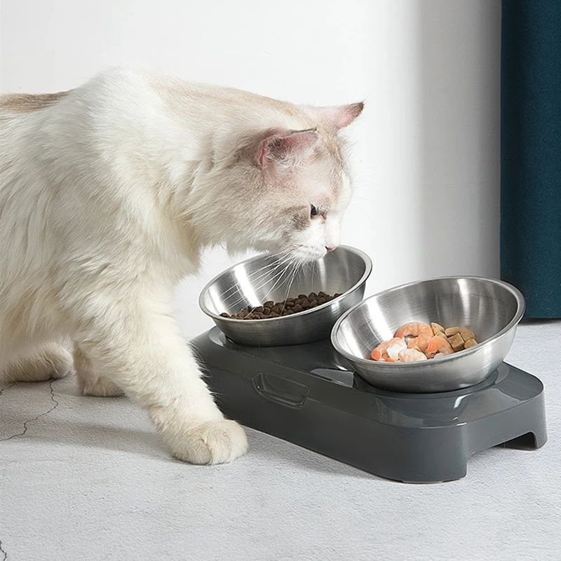 Stainless Steel Cat Dog Food And Water Bowls