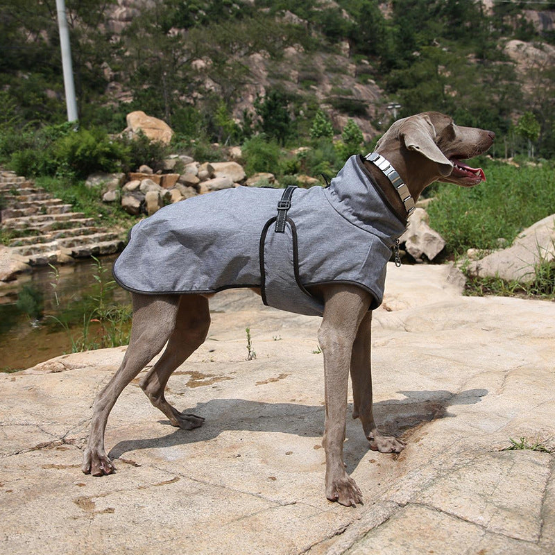 Pet Shell Jacket Dog Winter Outdoors Sky Suit