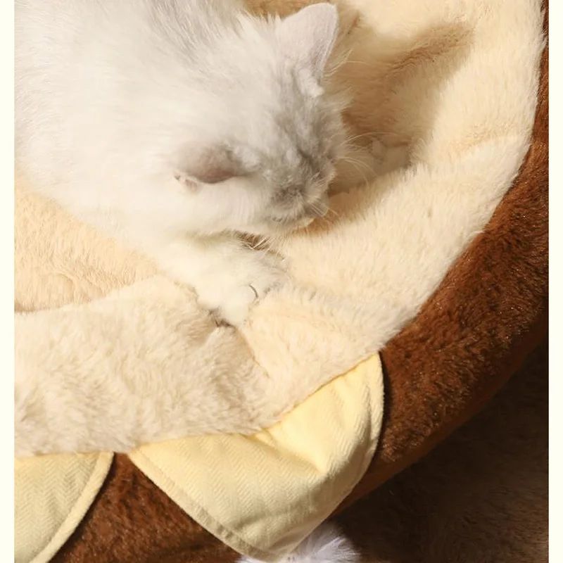 Cats Sofa Bed Round Pad Mattress