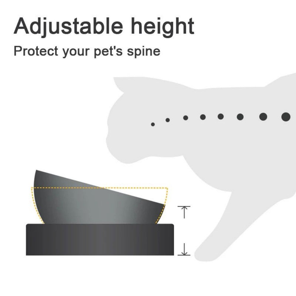 Stainless Steel Cat Dog Food And Water Bowls