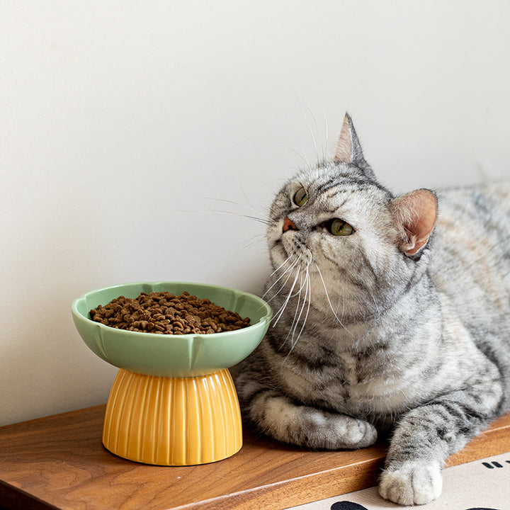 Pet Macarons Candy Color Feeding Bowl