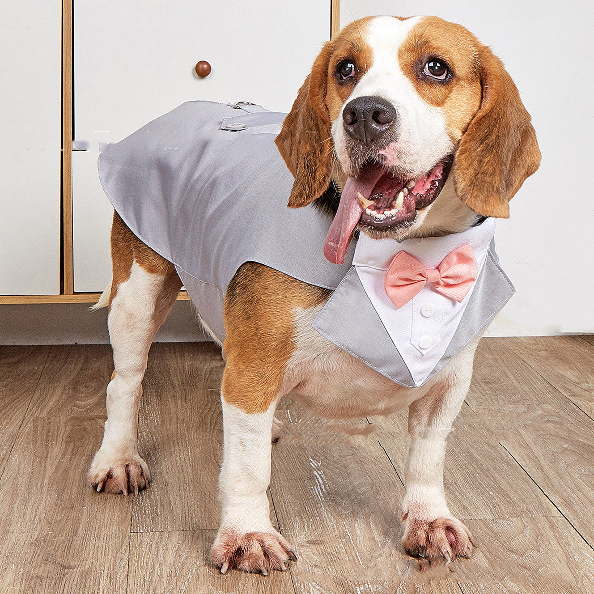Dog Pet Swallowtail Wedding Clothing Suit