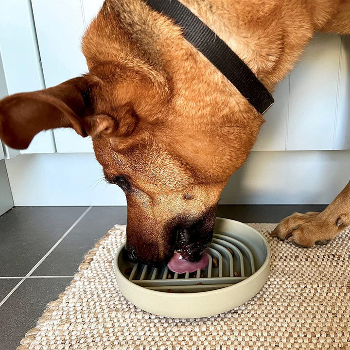 Pet Dog Fashion Simple Slow Feeding Bowl