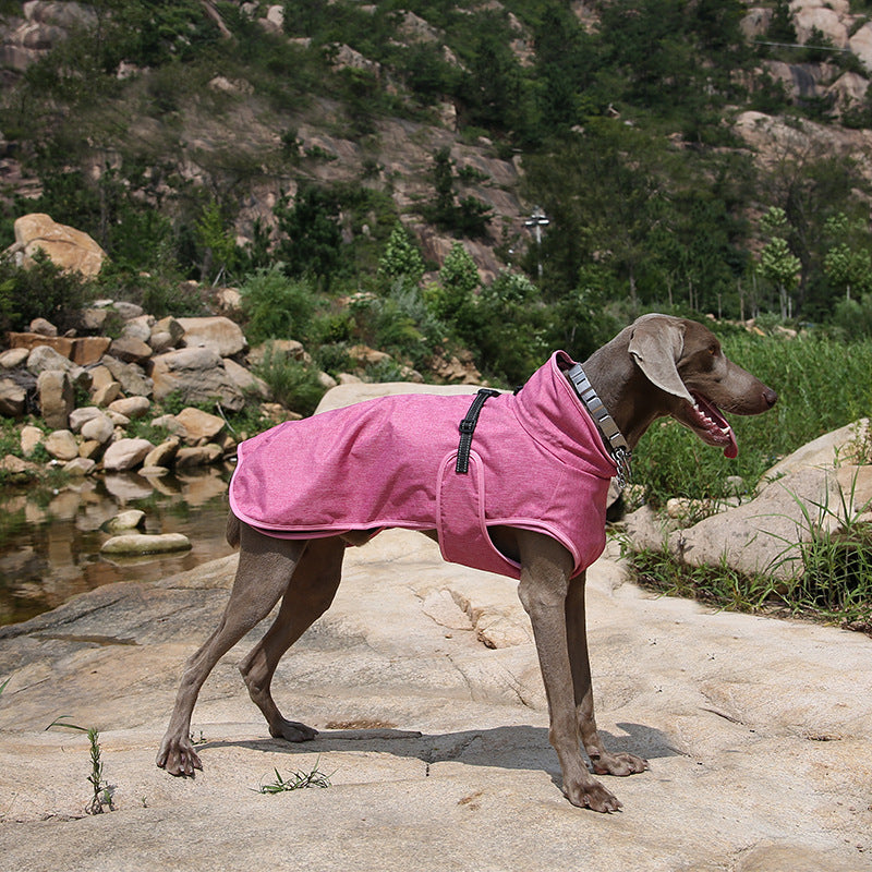 Pet Shell Jacket Dog Winter Outdoors Sky Suit
