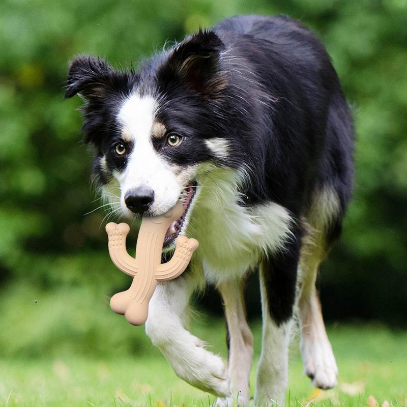 Cactus Puppy Dog Chew Toy