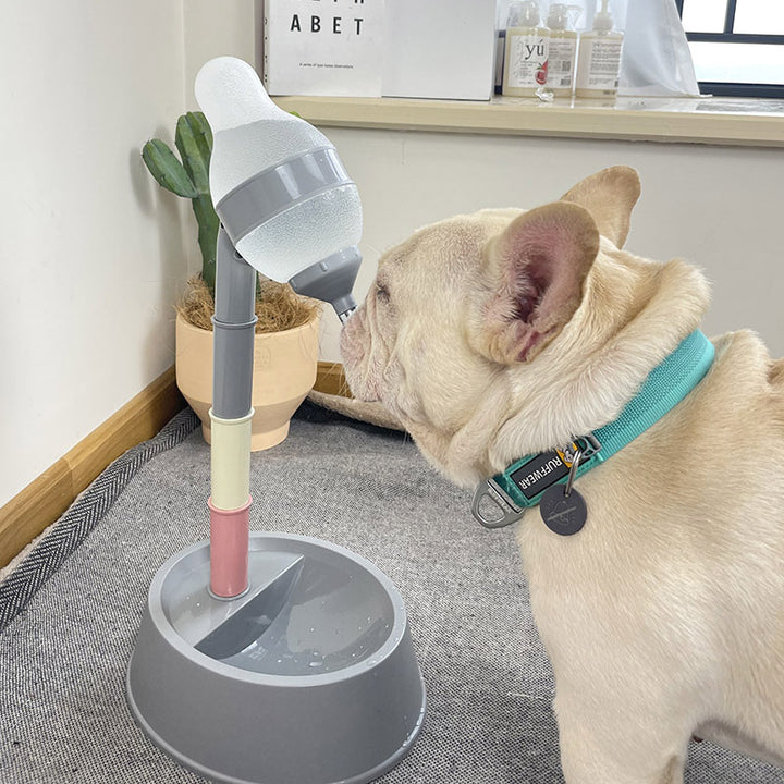 Pet Water Dispenser Stand Feeder Bowl