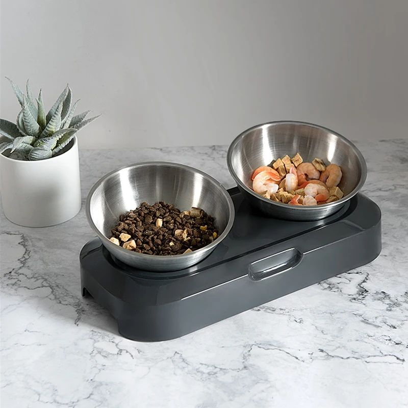 Stainless Steel Cat Dog Food And Water Bowls