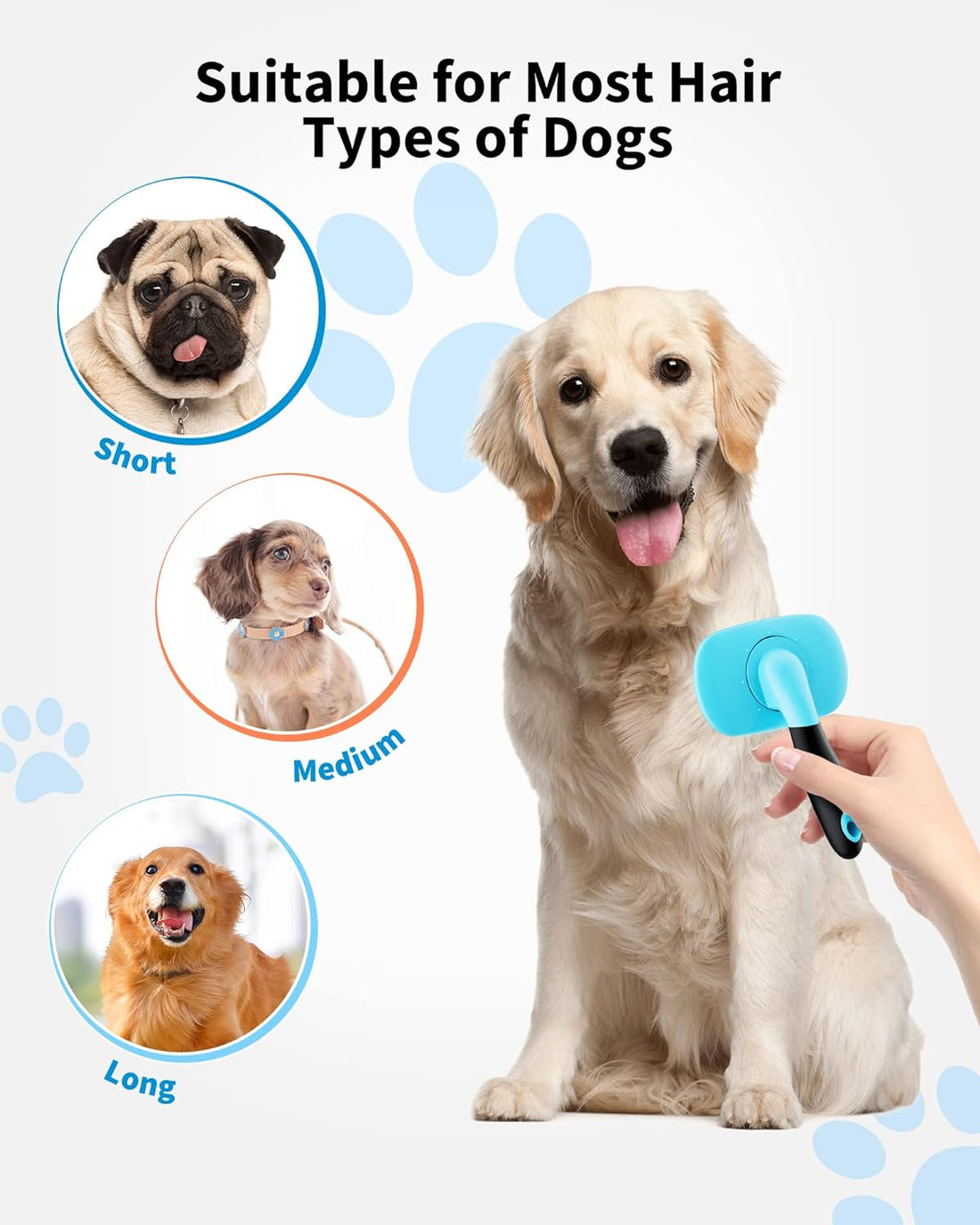 Dog Brush Pet Grooming Tools
