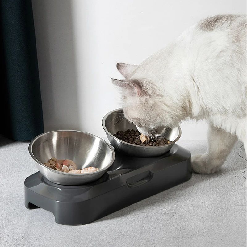Stainless Steel Cat Dog Food And Water Bowls